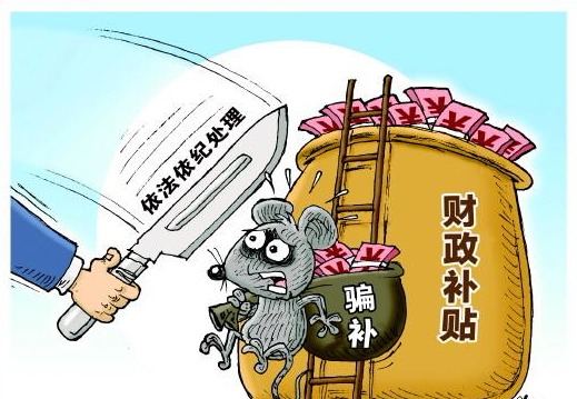 一头生猪“死三遍”,财政补贴这样骗?