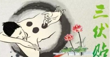 慢性胃病反复发作,冬病夏治你得试一试!