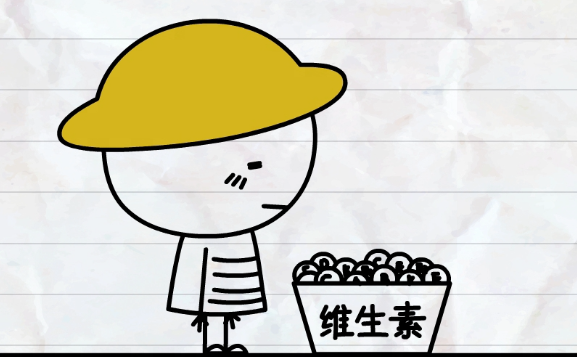 营养健康科普 : 太多太少都不好的脂肪