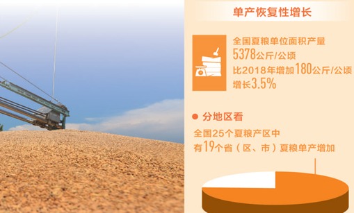 量增质优 今年全国夏粮总产量14174万吨