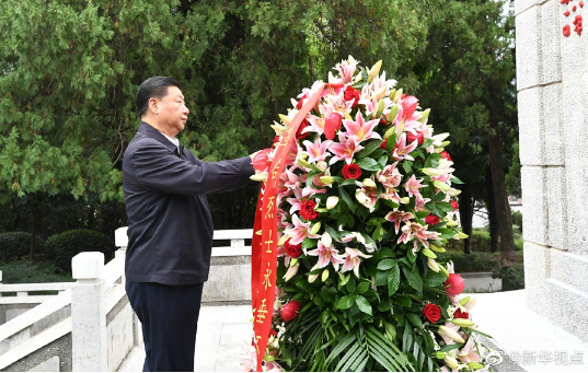 习近平在河南考察调研