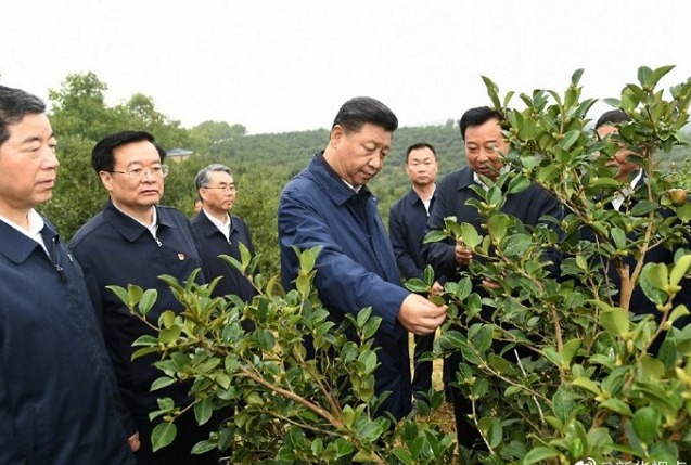 习近平:路子找到了,就要大胆去做