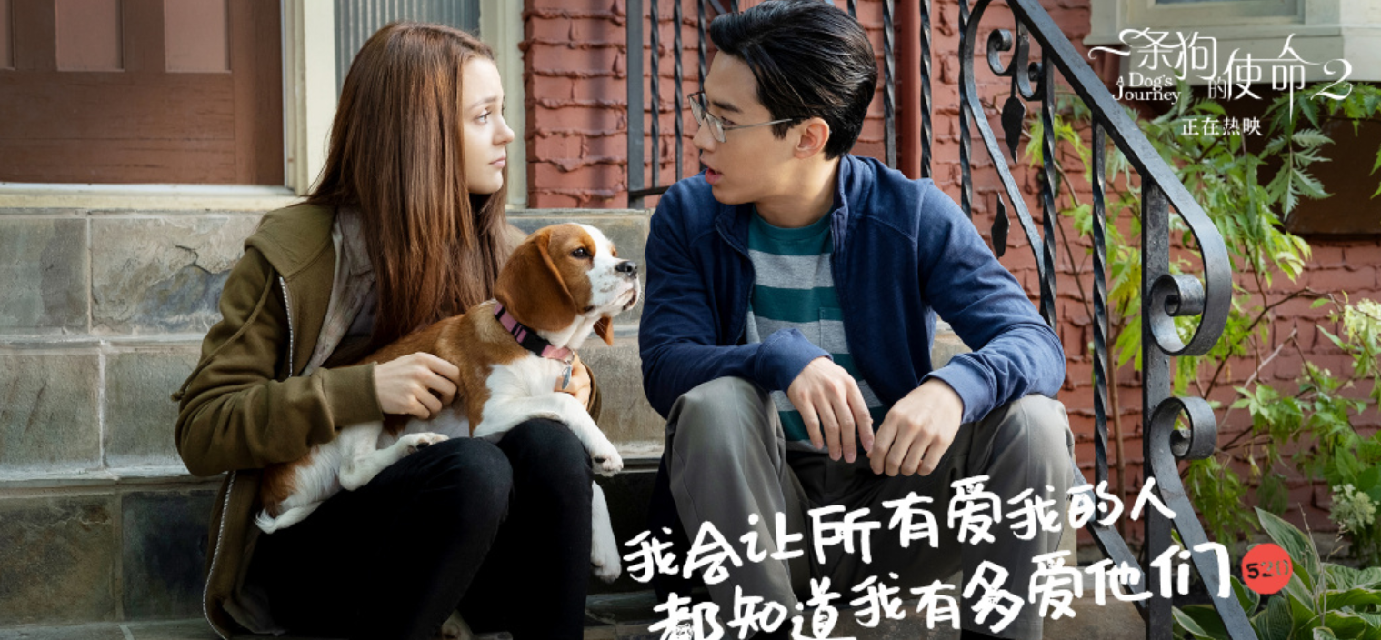 《一条狗的使命2》五大看点 戳心陪伴看哭观众