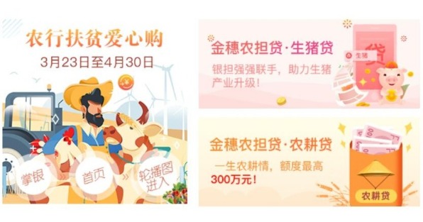 农行山东分行“生猪贷”助力猪肉稳产保供