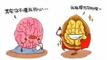 多吃核桃真的会变聪明吗