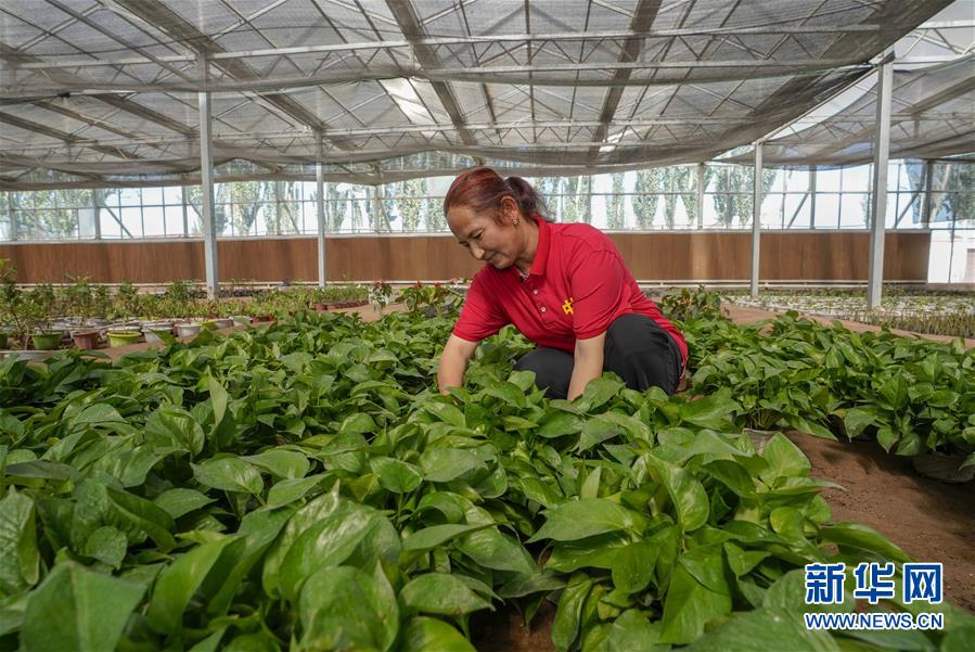旗引天山南北 谱写发展新篇——以习近平同志为核心的党中央关心新疆工作纪实