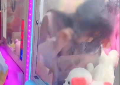 真娃娃机!四川一抓娃娃机里惊现真娃娃,这是咋进去的?