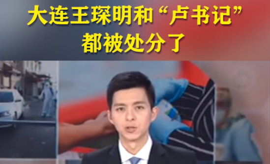 大连王琛明和“卢书记”都被处分了