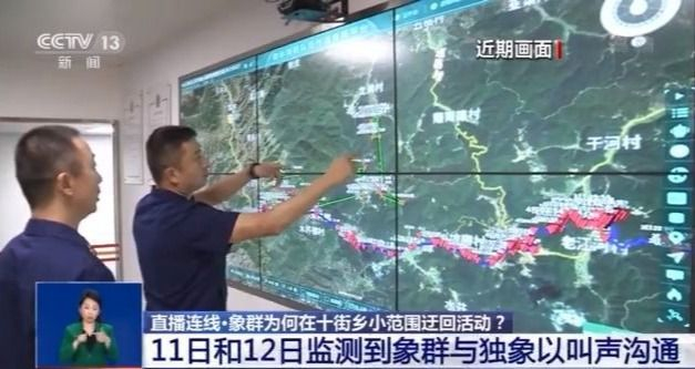 迂回近一周,大象“旅行团”为何不走了?