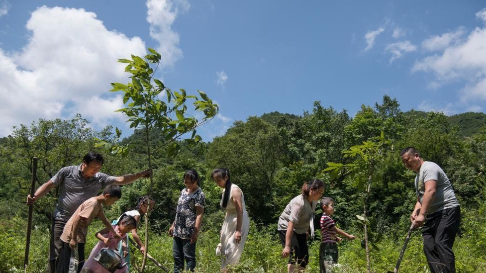 建设人与自然和谐共生的美丽家园——习近平生态文明思想基层生动实践新观察