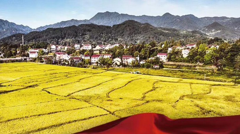 牢牢把住粮食安全主动权——以习近平同志为核心的党中央带领人民干好这件头等大事