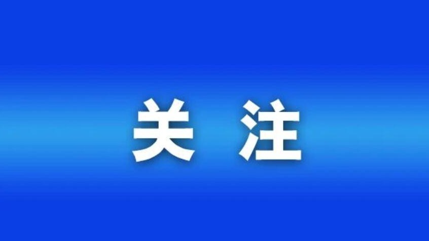 一见·“小树苗”何以长成“参天大树”，总书记言传身教
