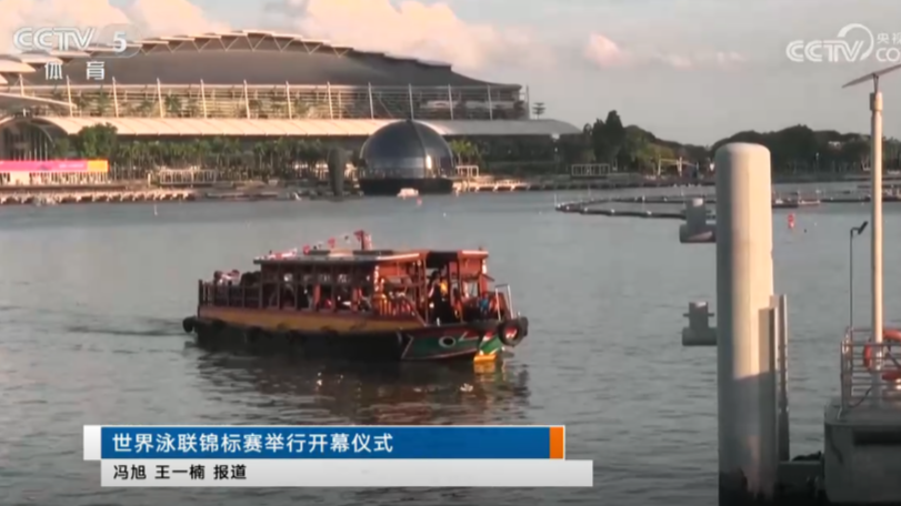 游泳 | 世界泳联锦标赛举行开幕仪式