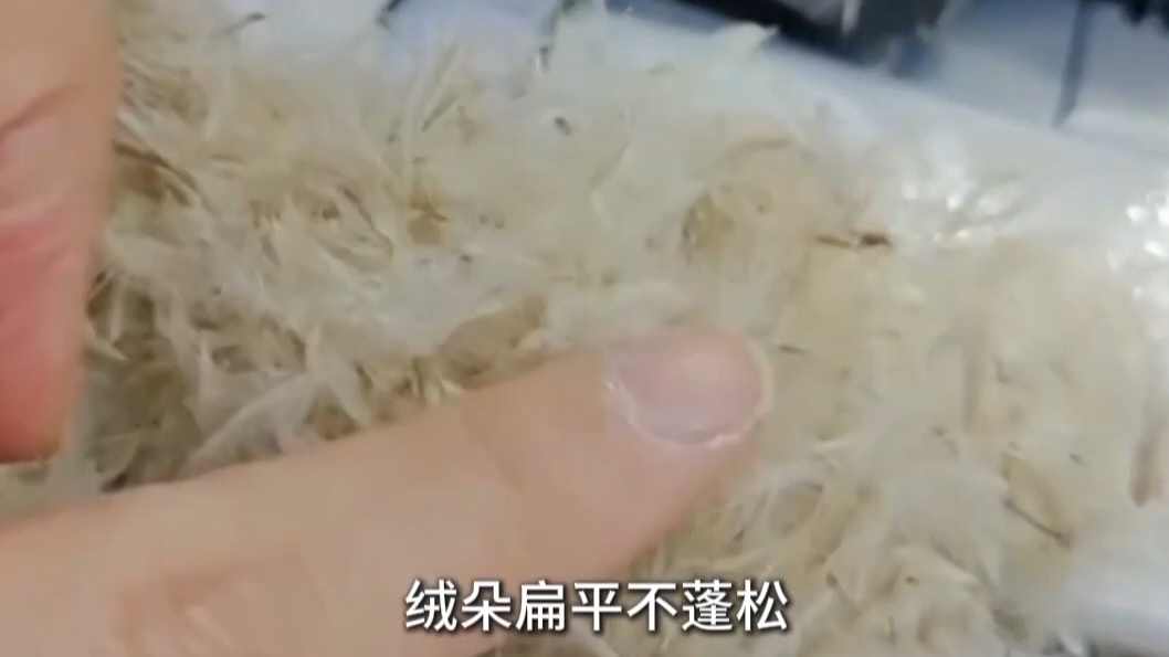 避开“假羽绒”陷阱 这样选购不花冤枉钱
